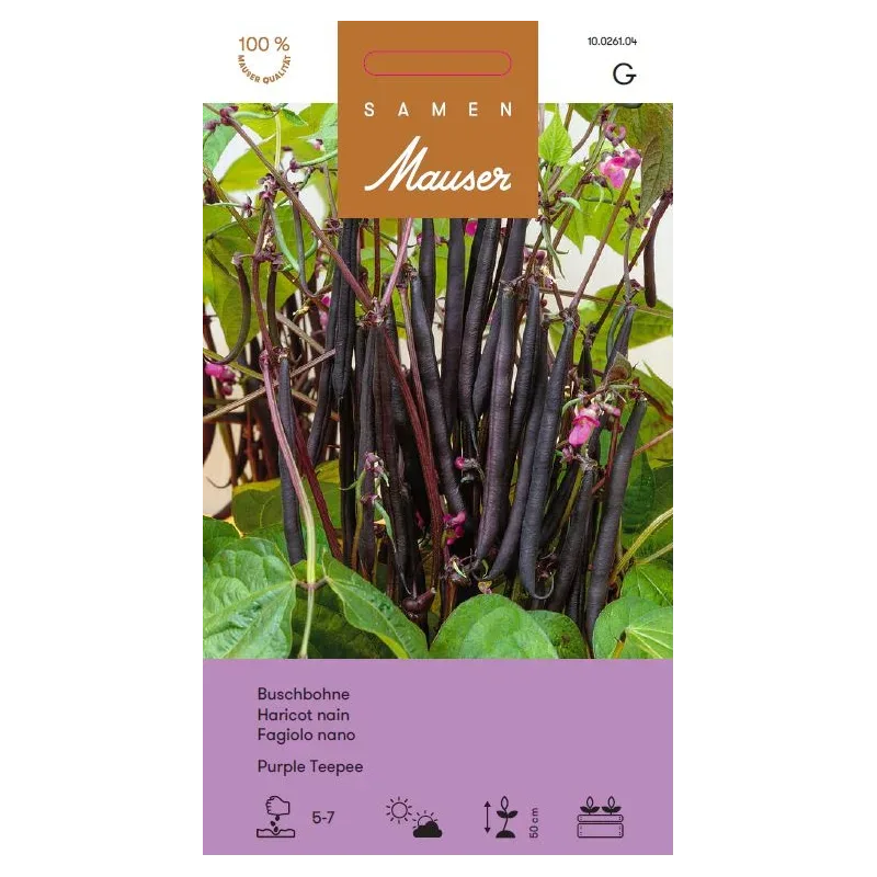 Samen Mauser Buschbohne Purple Teepee (60g)