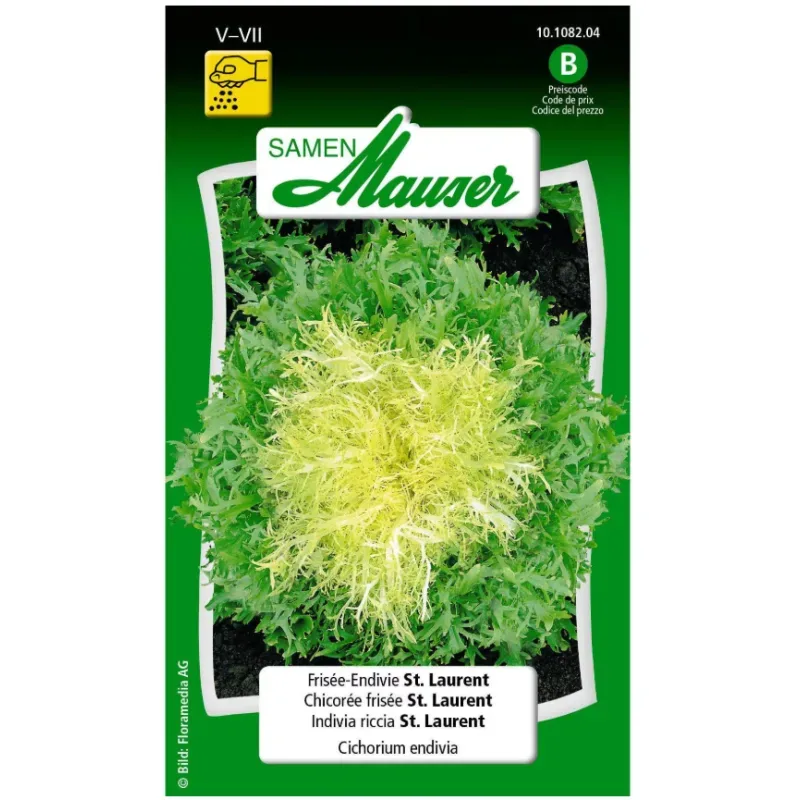 Samen Mauser Endivie Frisée St. Laurent (2.5g)