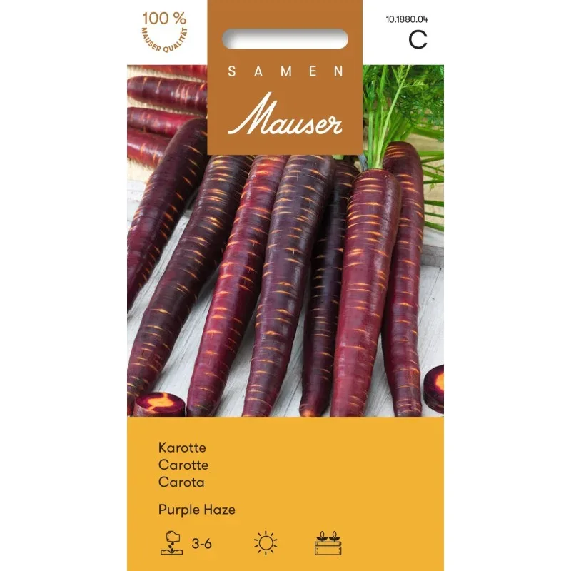 Samen Mauser Karotte Purple Haze (0.5g)