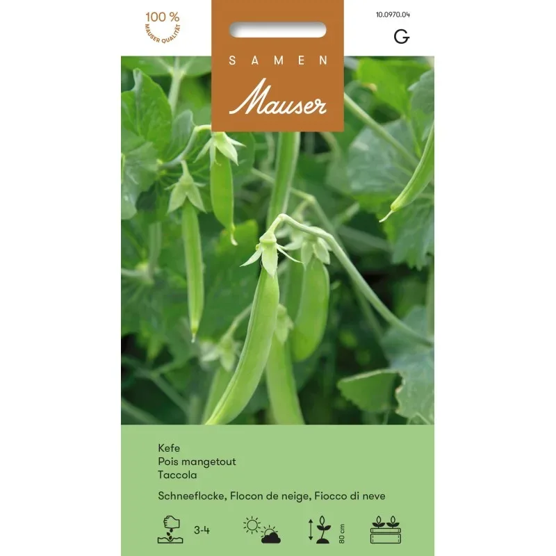 Samen Mauser Kiefelerbse Schneeflocke (60g)