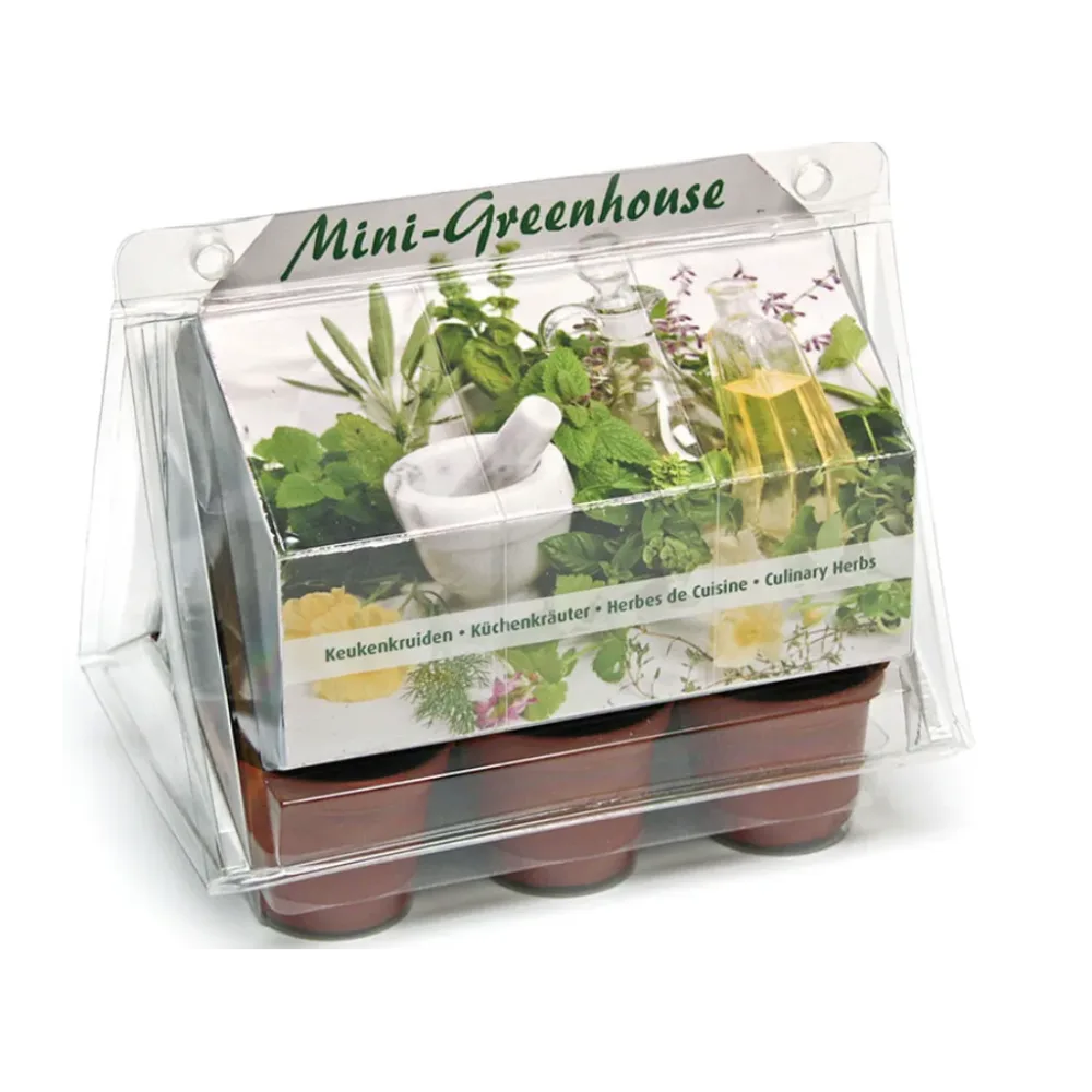 Wyss Garten Mini-Gewächshaus Kräuter-Set (1 Stk)