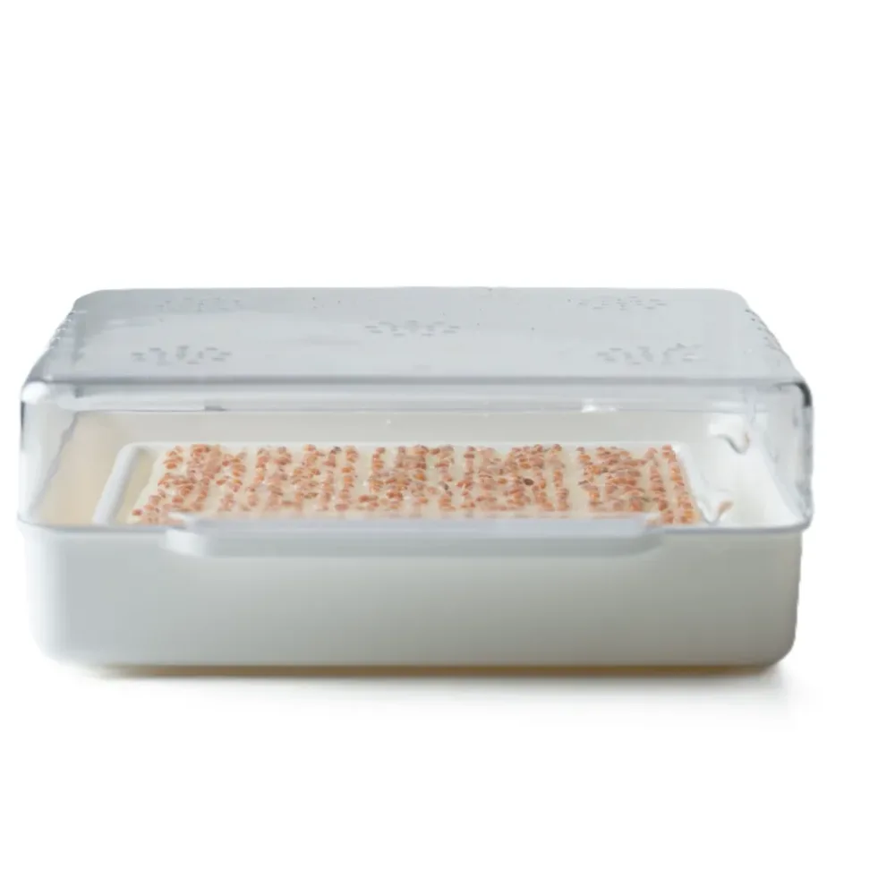 Wyss Garten Cresspad RadiesCress Bio (3 Stk)