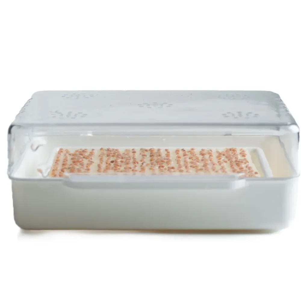 Wyss Garten Cresspad SenfCress Bio (3 Stk)