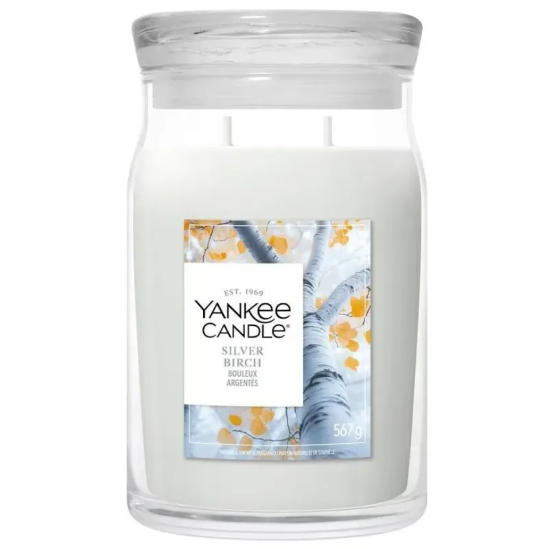 Yankee Candle Silver Birch Duftkerze (567g)