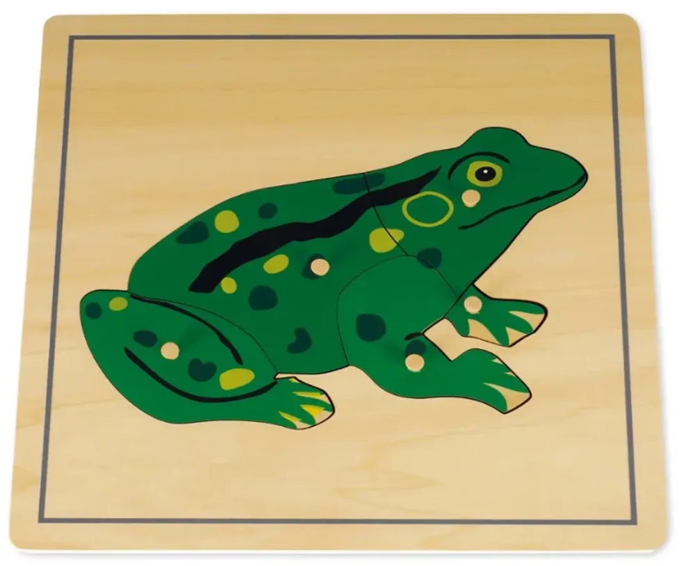 TimeTEX Puzzle Frosch Montessori Premium, 24x24cm (5-teilig)
