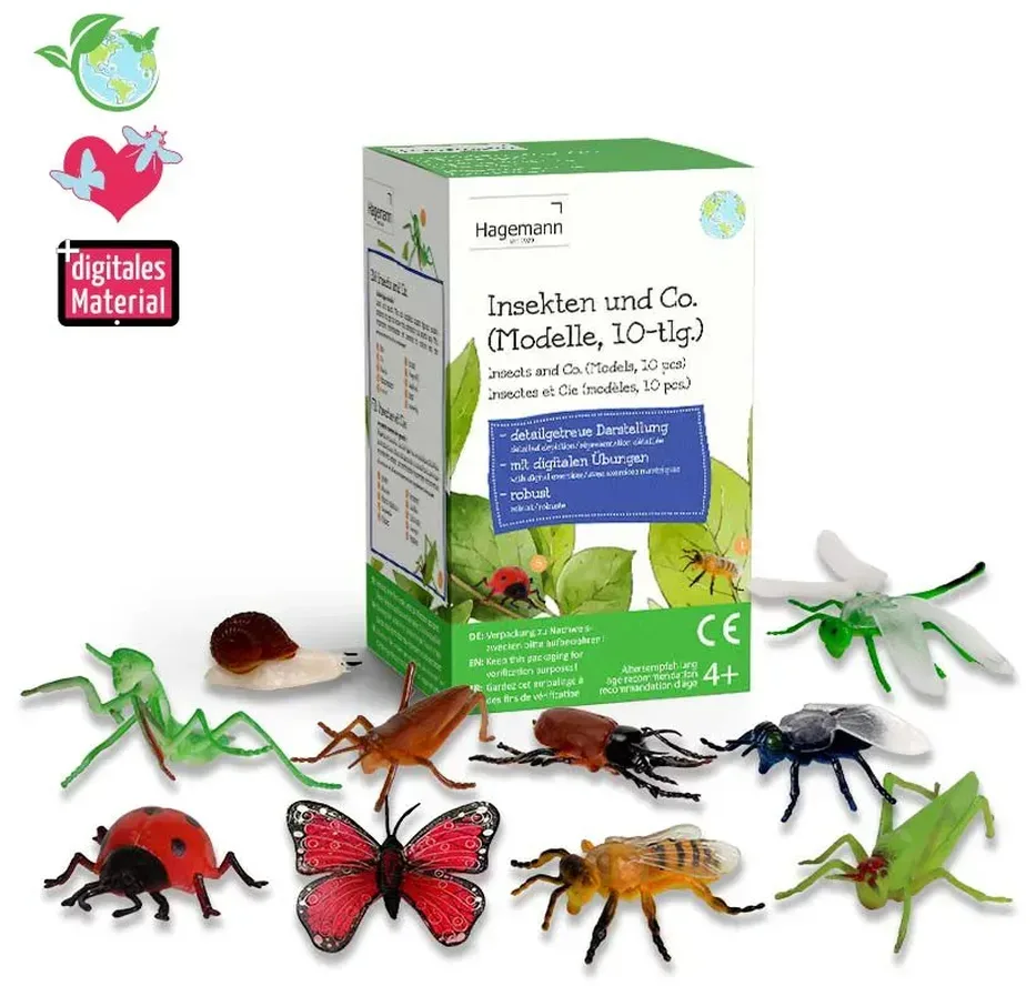 TimeTEX Modell Insekten & Co. (10-teilig)