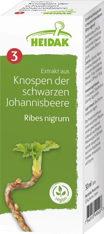 HEIDAK Knospe Johannisbeere Ribes nigrum Glycerin Mazerat (30ml)