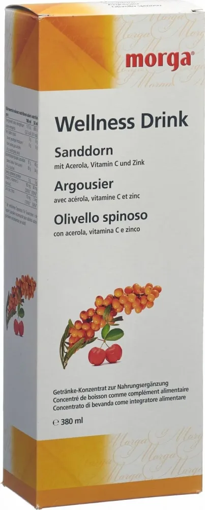 morga Sanddorn Wellness Drink (380ml)