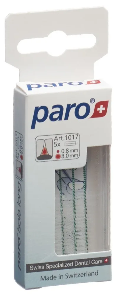 paro ISOLA LONG 8mm medium grün zylindrisch (5 Stk)
