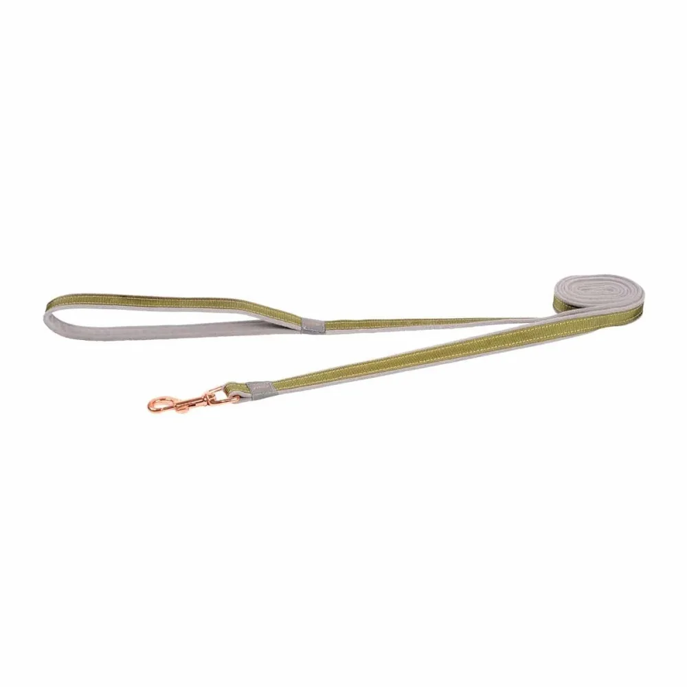 rogz Urban Hundeleine grün, Länge 180cm, Bandbreite 1.2cm (1 Stk)