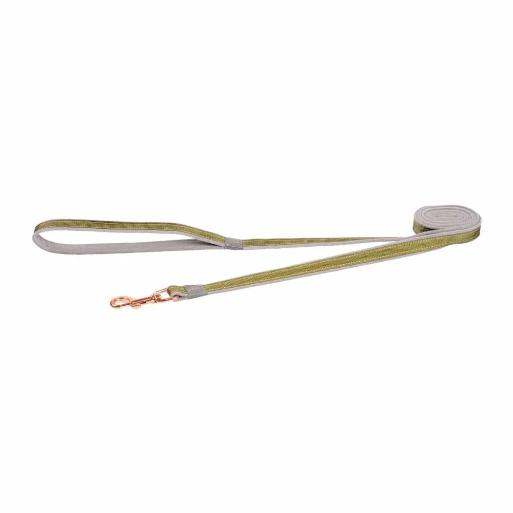 rogz Urban Hundeleine grün, Länge 180cm, Bandbreite 1.4cm (1 Stk)