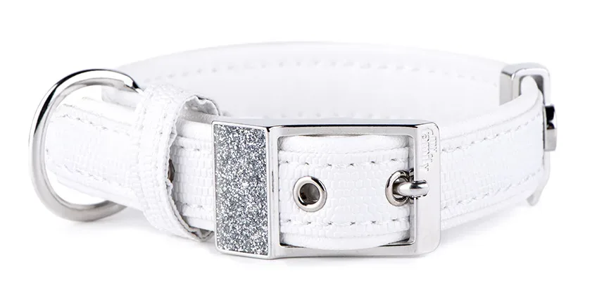 MyFamily Saint Tropez Similpelle Hundehalsband weiss, Halsumfang 35-41cm, Bandbreite 2.2cm, bis 16kg (1 Stk)