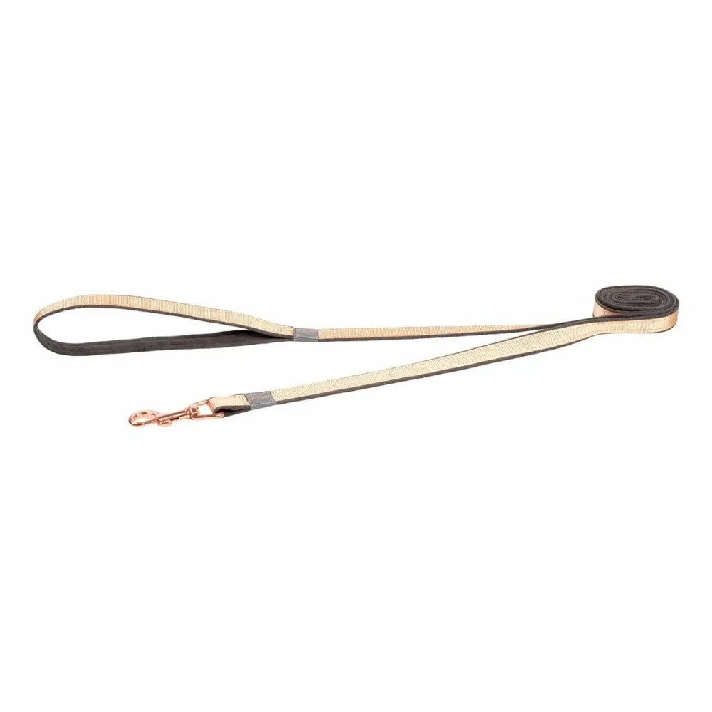 rogz Urban Hundeleine gold, Länge 180cm, Bandbreite 1.4cm (1 Stk)