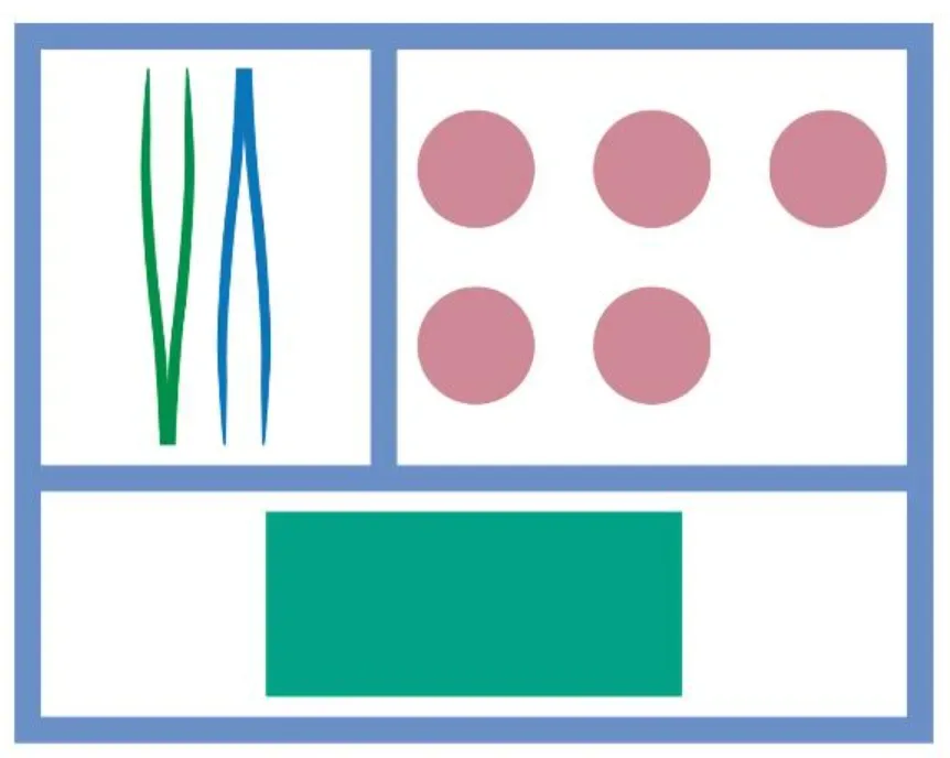 MediSet Wundverband-Set 4B (1 Stk)