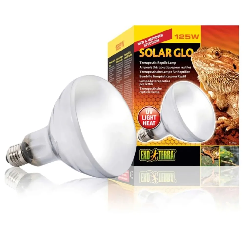 Exo Terra Halogen Basking Spot energieeffiziente Breitspektrum-Glühbirne 125W (1 Stk)