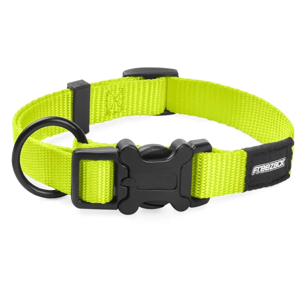 Freezack Hundehalsband Basic Uni grün, Halsumfang 34-56cm (1 Stk)