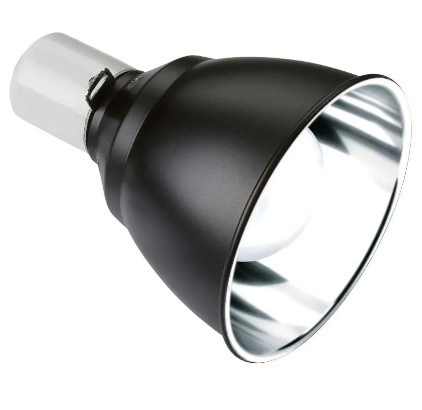 Exo Terra Reflektorlampe Light Dome, M, Ø18cm (1 Stk)