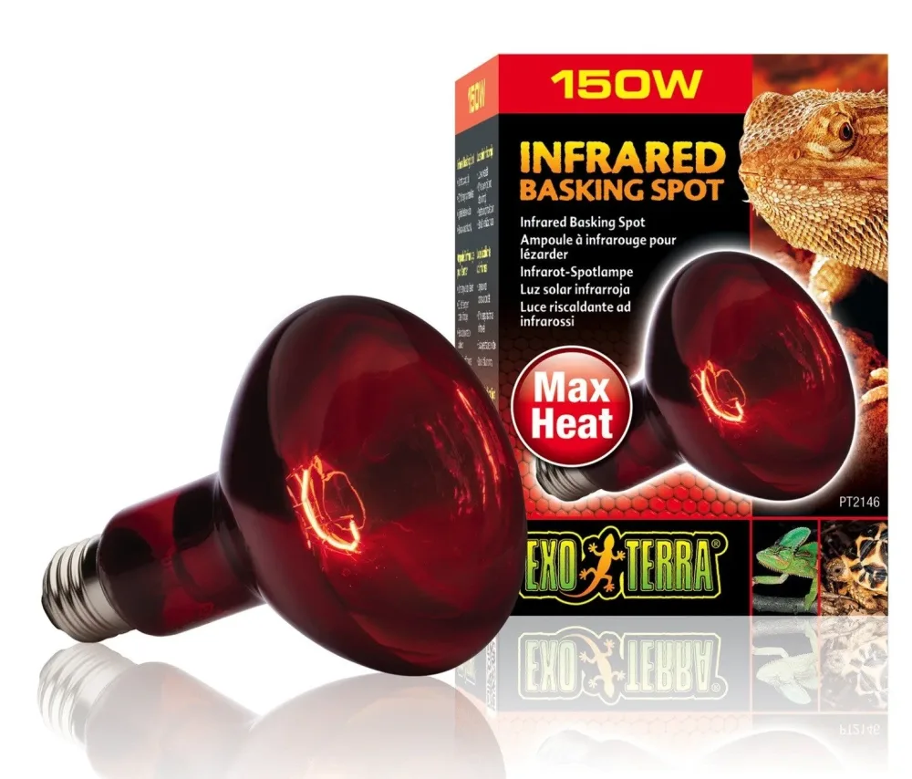 Exo Terra Infrared Basking Spot Infrarot Glühbirne 150W (1 Stk)