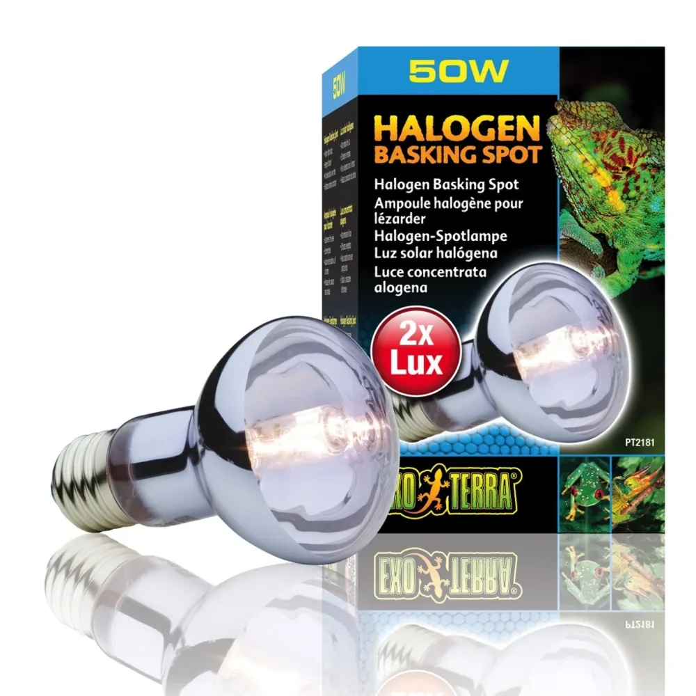Exo Terra Halogen Basking Spot energieeffiziente Breitspektrum-Glühbirne 50W (1 Stk)