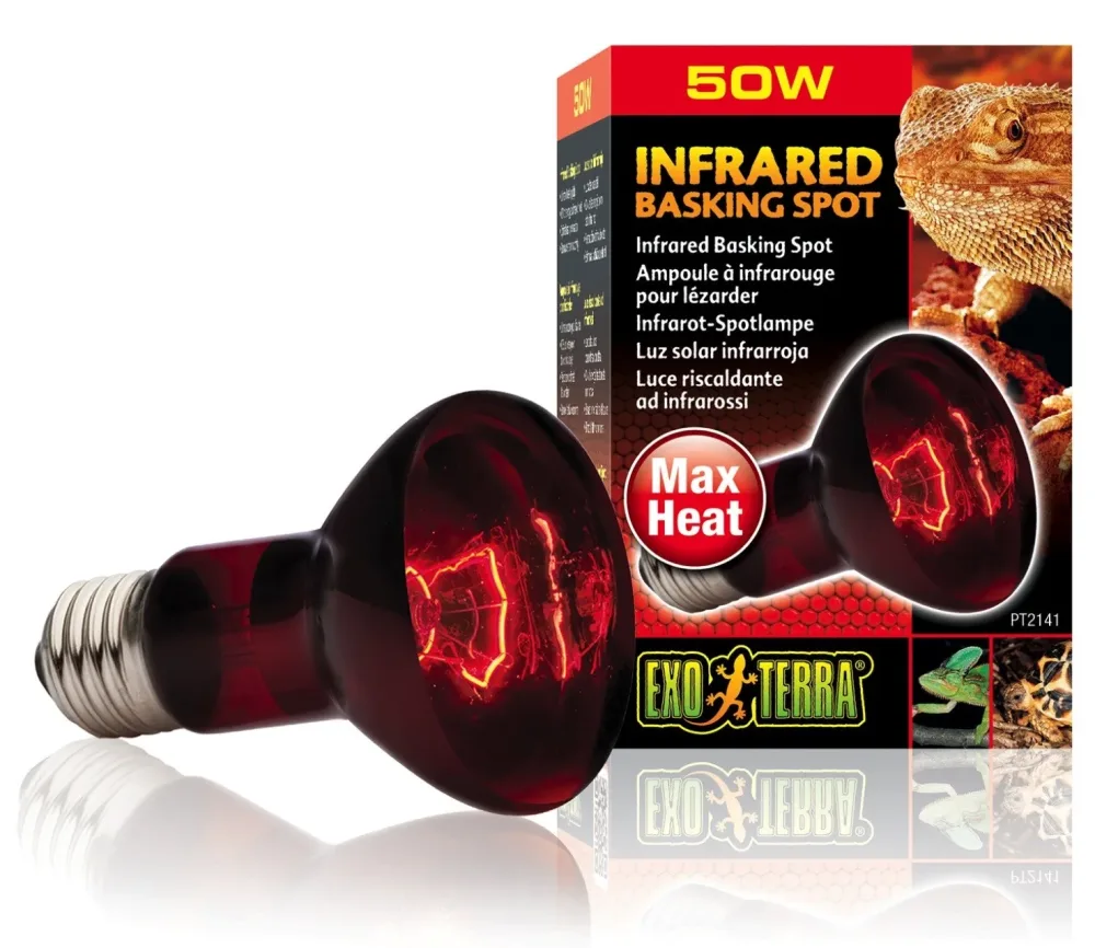 Exo Terra Infrared Basking Spot Infrarot Glühbirne 50W (1 Stk)