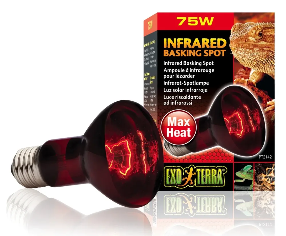 Exo Terra Infrared Basking Spot Infrarot Glühbirne 75W (1 Stk)