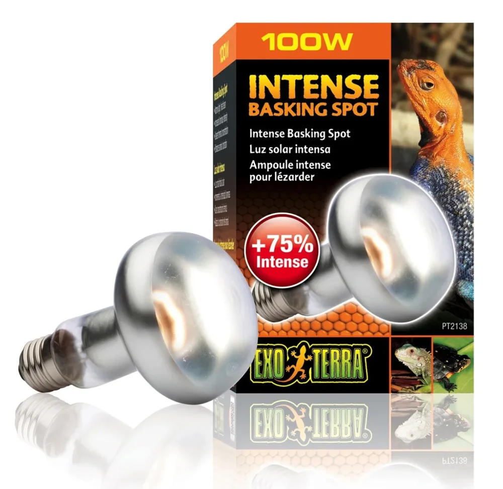 Exo Terra Intense Basking Spot Wärmespotlampe 100W (1 Stk)