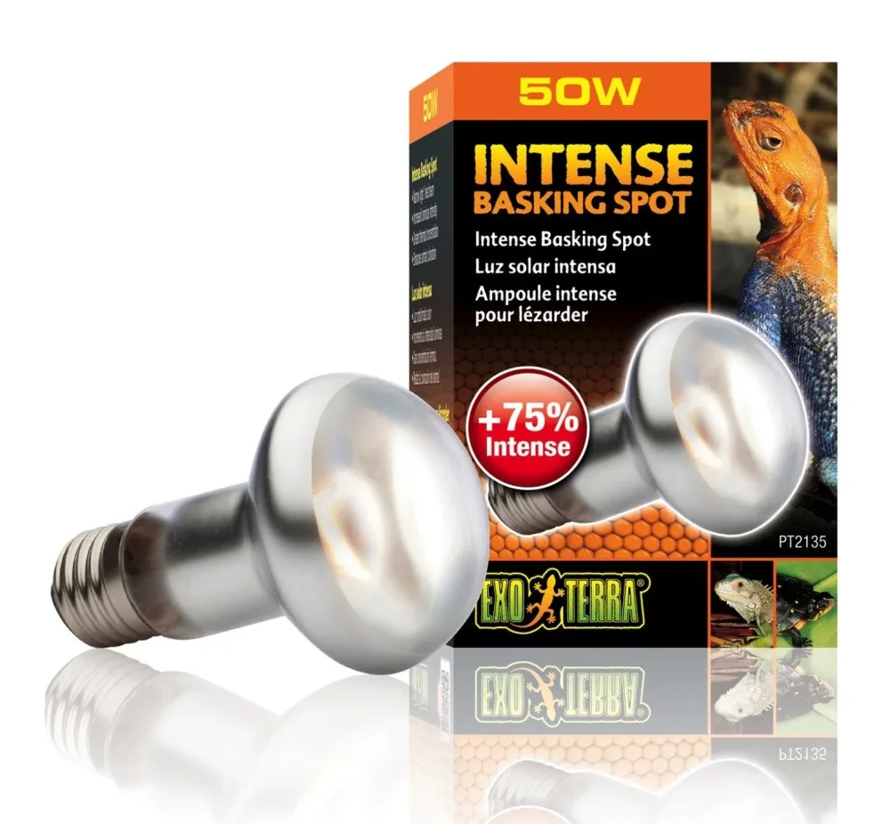 Exo Terra Intense Basking Spot Wärmespotlampe 50W (1 Stk)