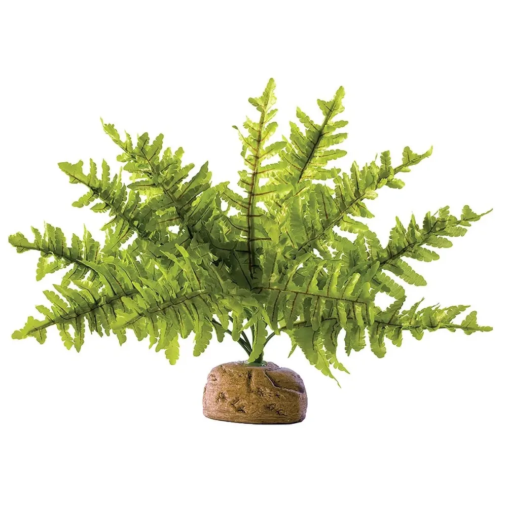 Exo Terra Rainforest Ground Plants Farn, 6.5x21x5cm (1 Stk)