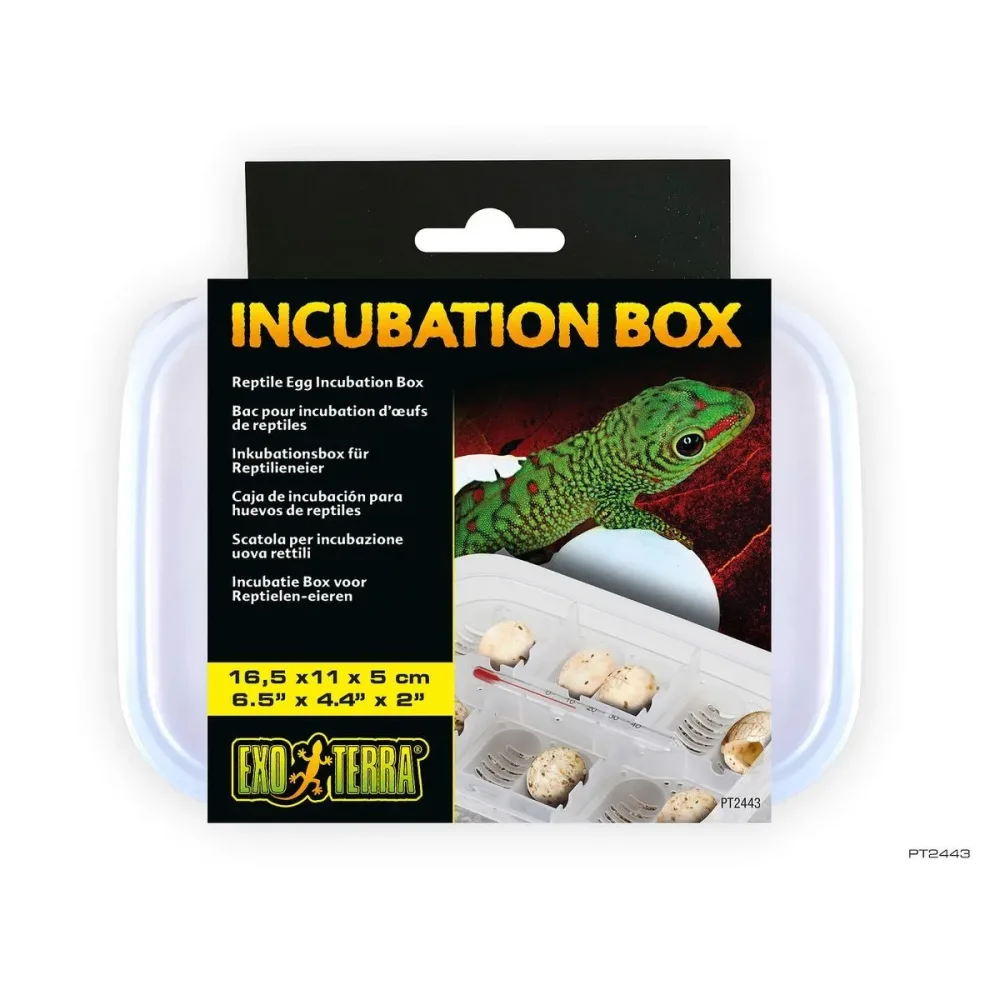 Exo Terra Inkubations-Box (1 Stk)