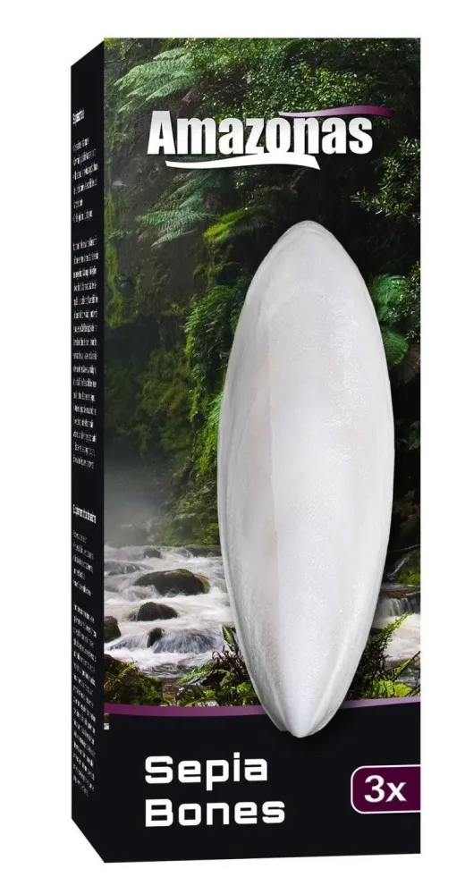 Amazonas Sepiaschale (3 Stk)