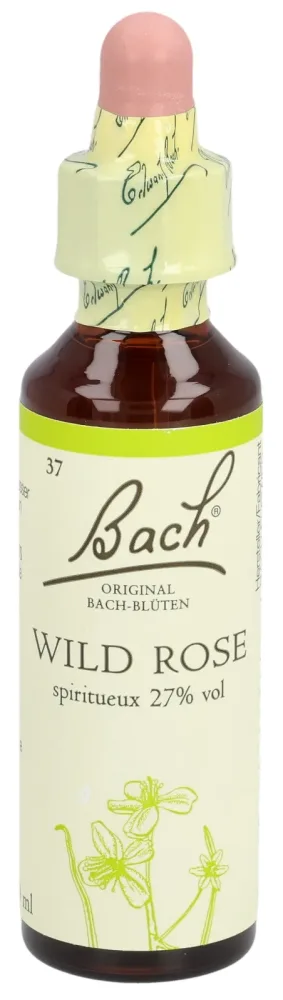 BACH-BL&Uuml;TEN Original Wild Rose No37 20 ml