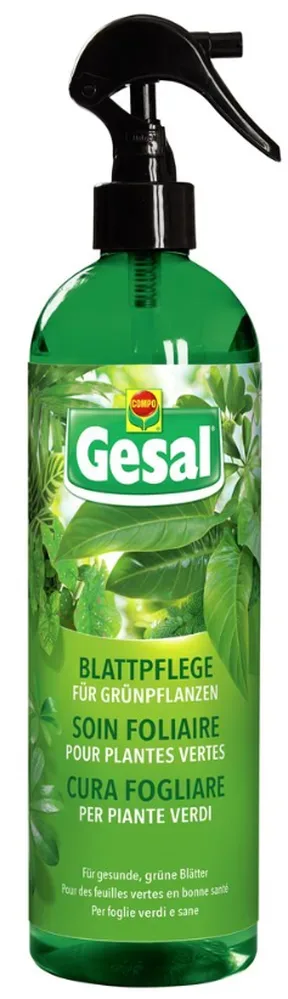 Gesal Blattpflege Grünpflanzen 500Ml