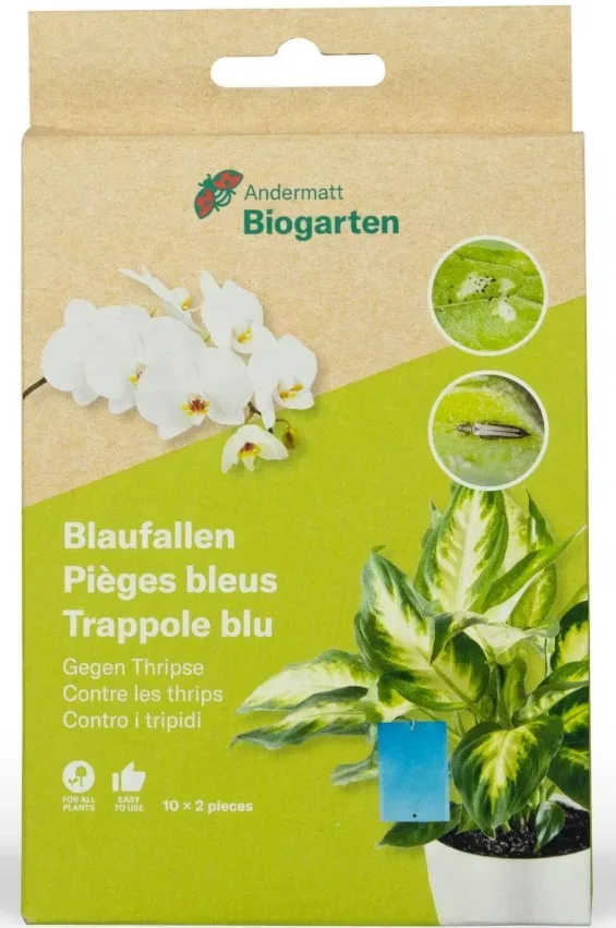 Andermatt Biogarten teilbare Blaufallen, gegen Thripse (10 Stk)