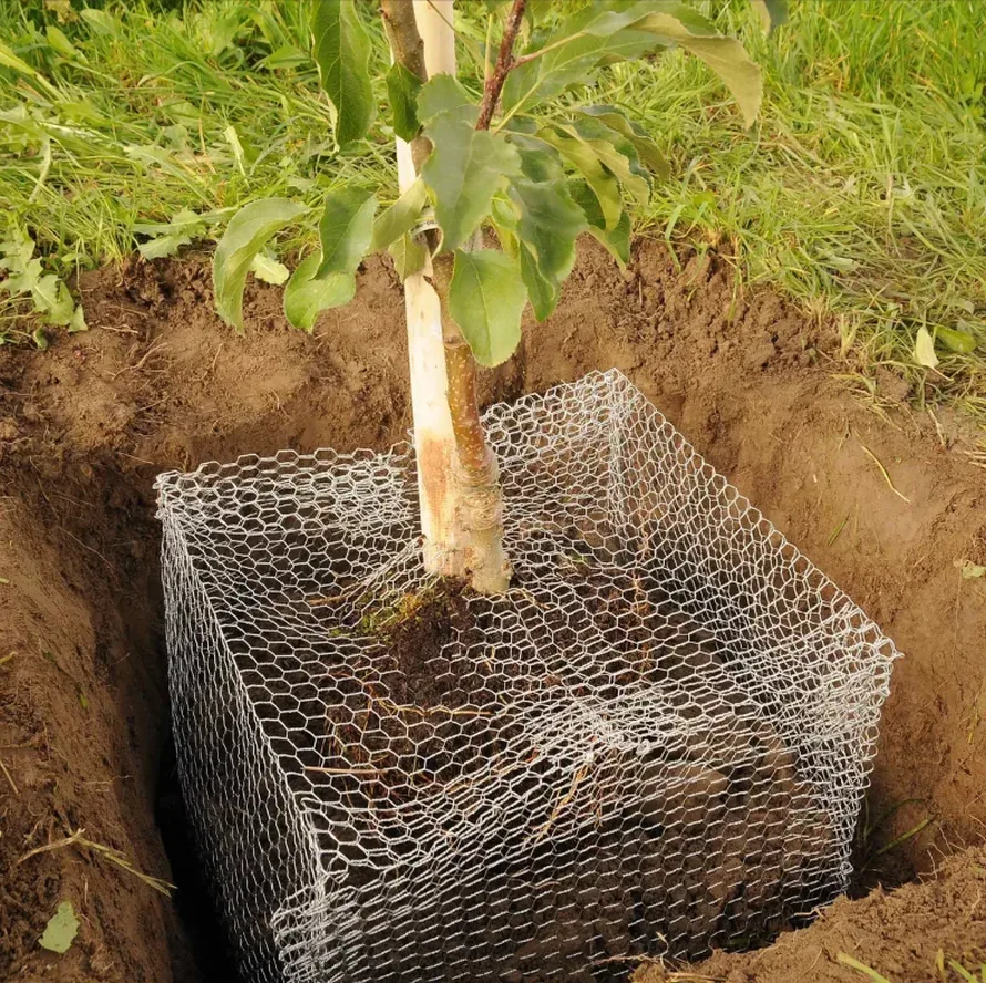 Andermatt Biogarten Root Saver gegen Mäuse, 40x40x40cm (1 Stk)