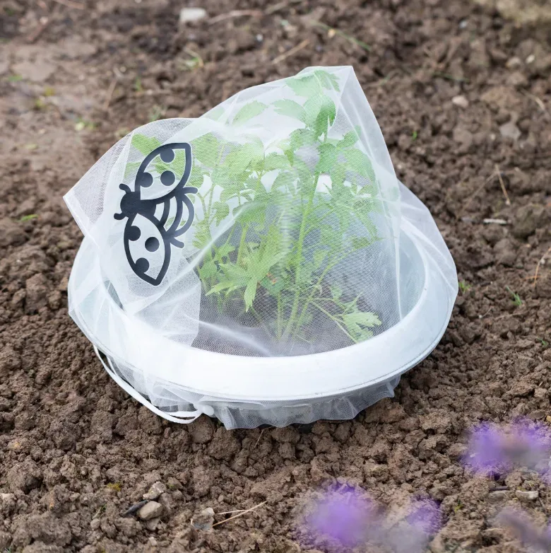 Andermatt Biogarten Insektenschutz-Taschen Stauden, 63x40cm (6 Stk)