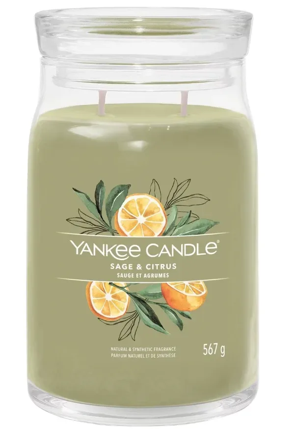Yankee Candle Signature - Duftkerze im Glas, 567G, Weidengrün