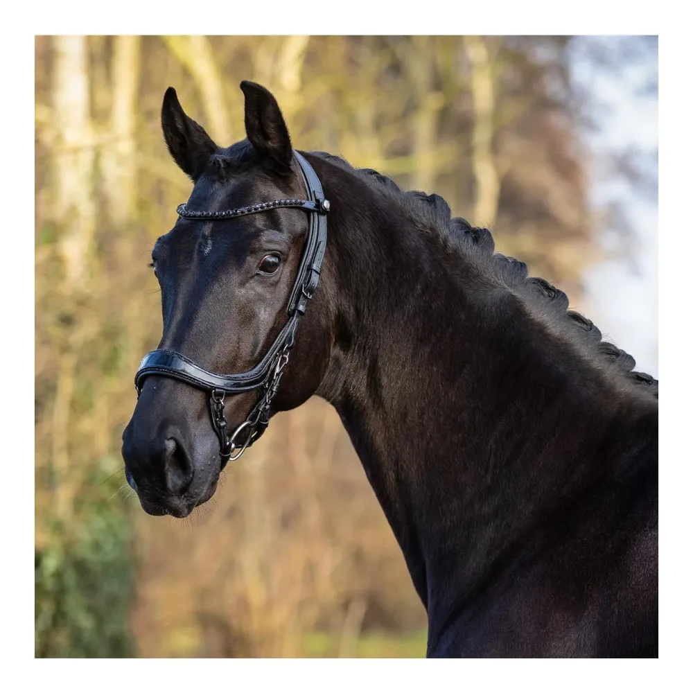 PresTeq Zaumzeug FaySport Blackpearl - Schwarz -  Grösse: Extra Full