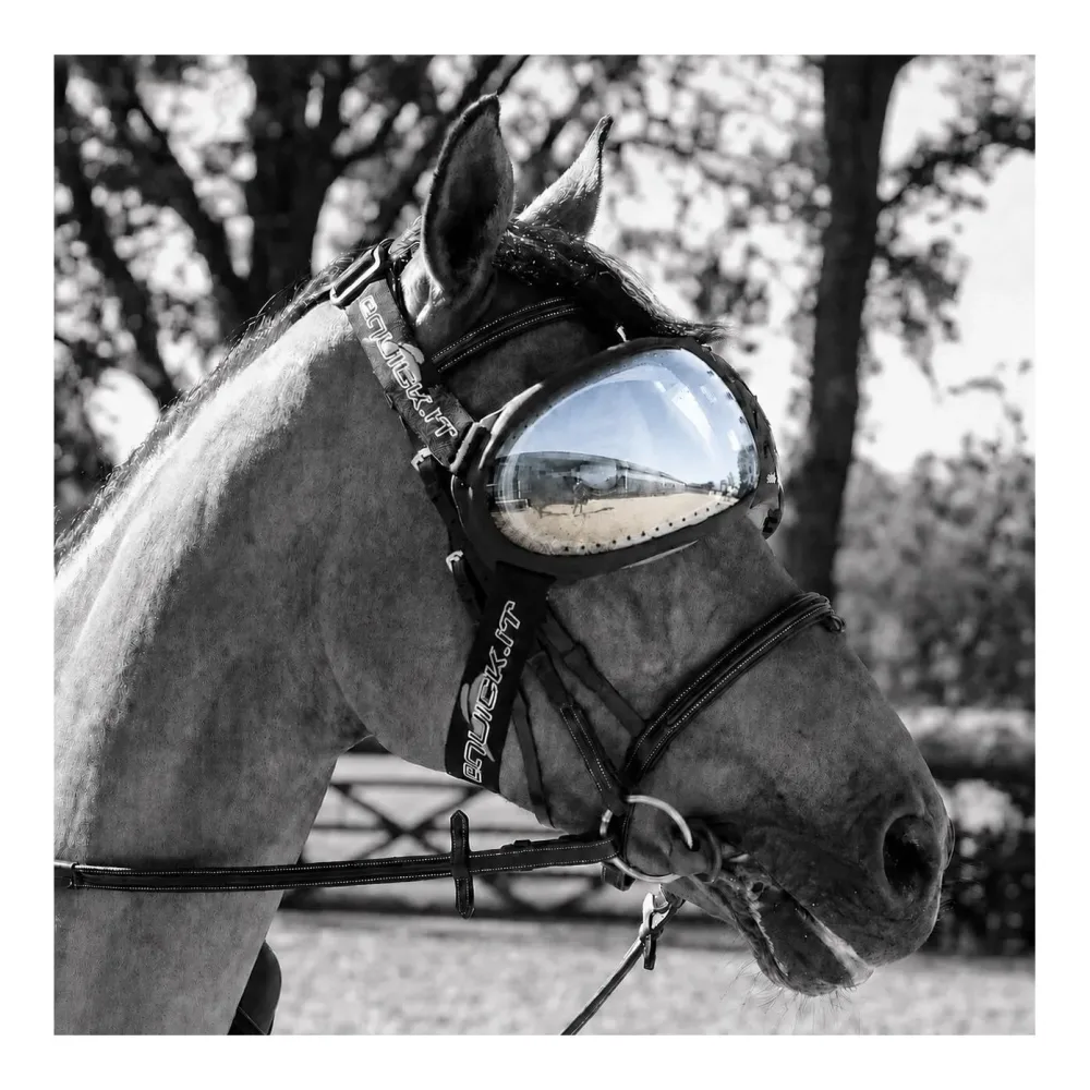 eQuick Lenses for eVysor - kit - Transparent -  Grösse: One Size, Farbe: Transparent