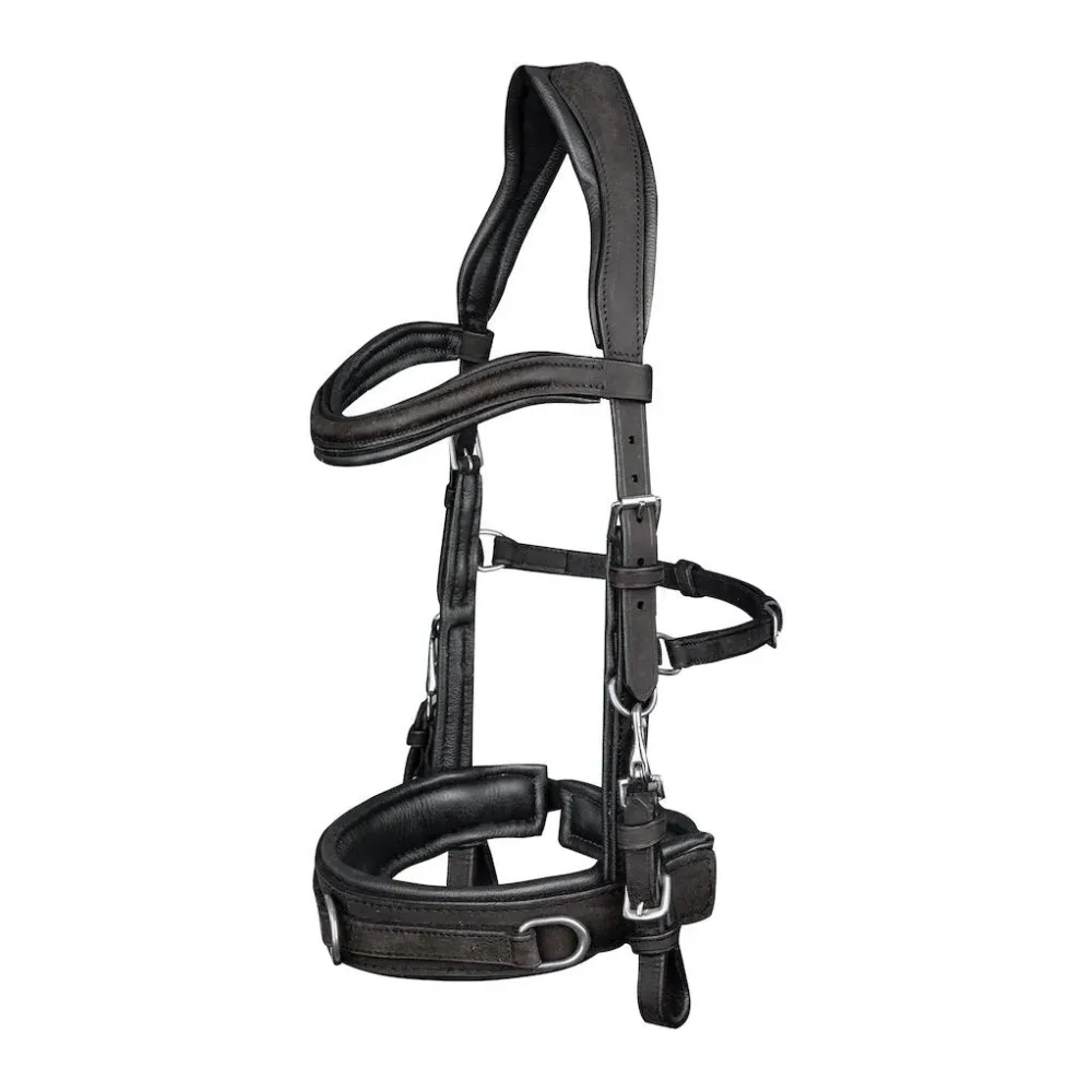 Waldhausen Lederkappzaum Anatomic - Schwarz -  Farbe: Schwarz, Grösse: WB