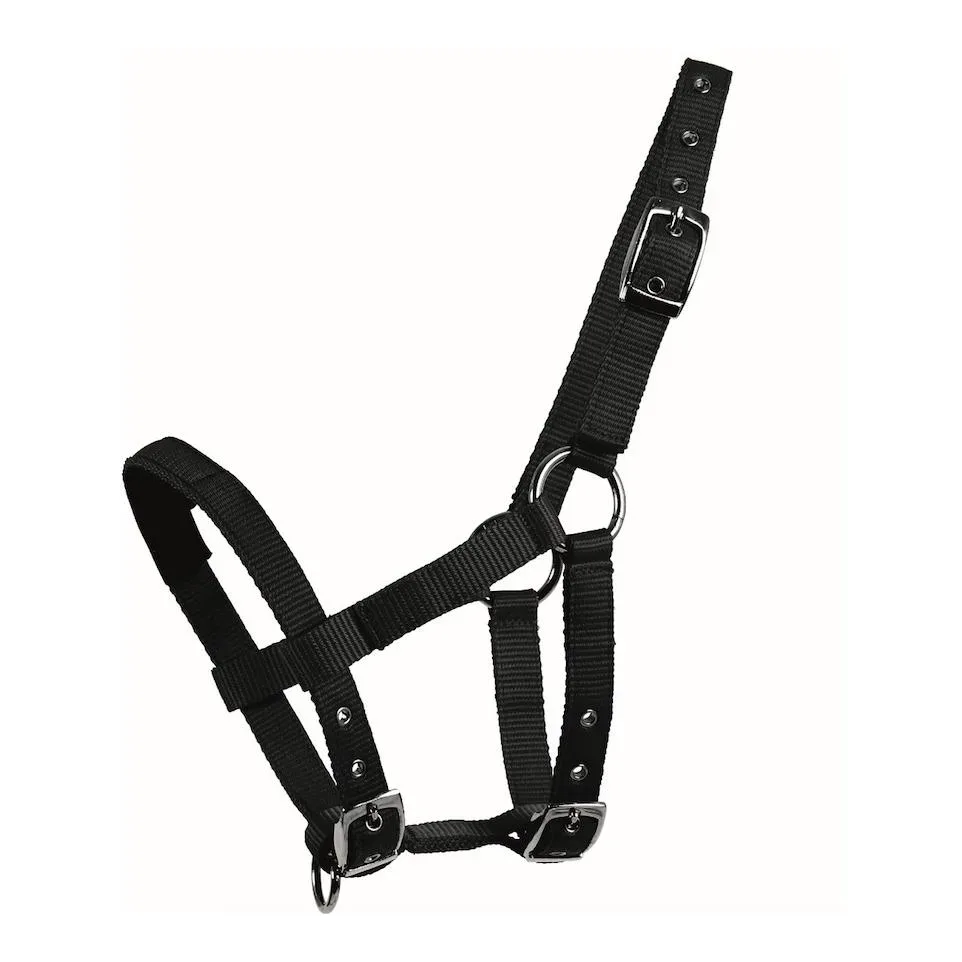 Waldhausen Mini-Shetty Halfter - schwarz