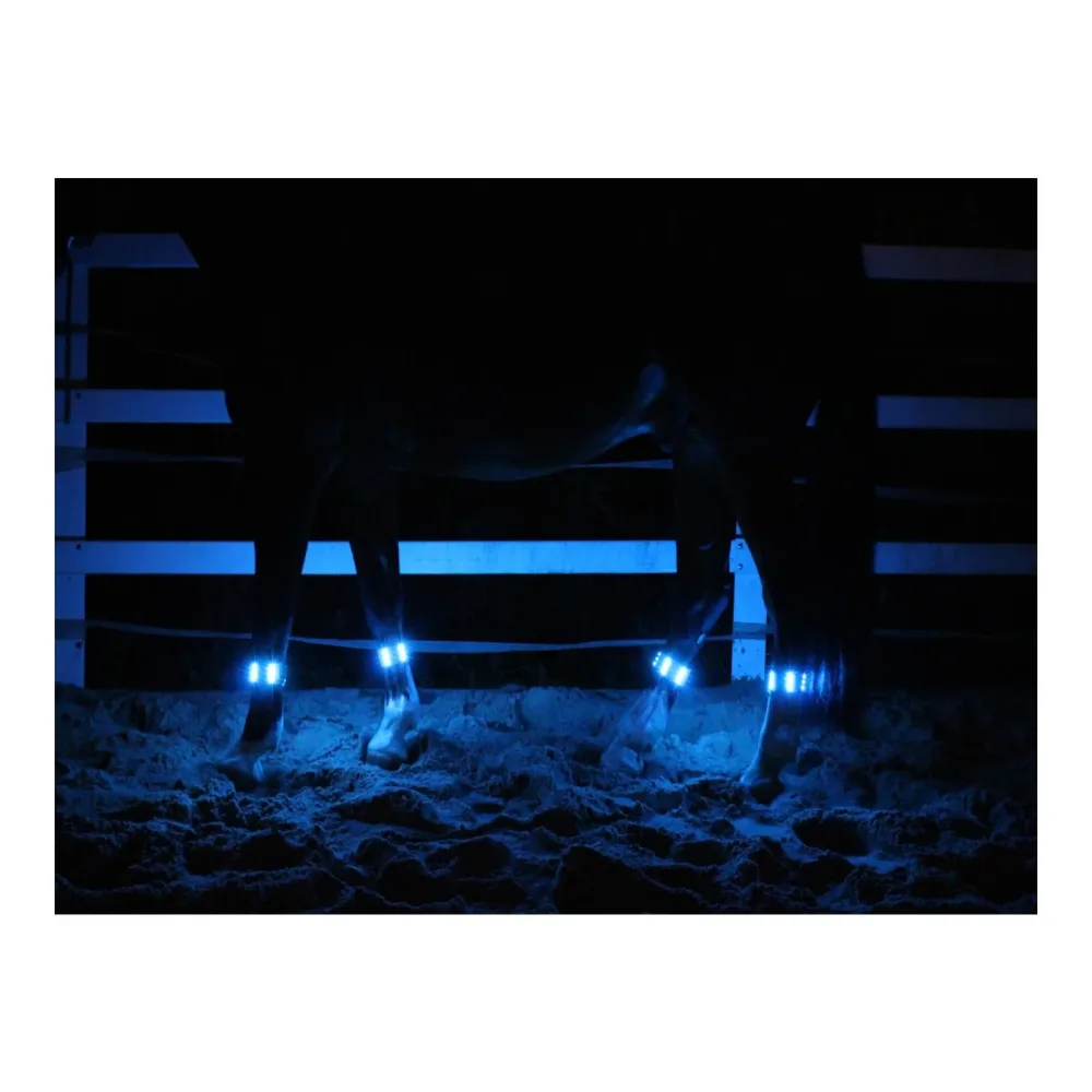 Animal Light LED Leuchtgamaschen Threeple 4er-Set - Glacier-deepsea -