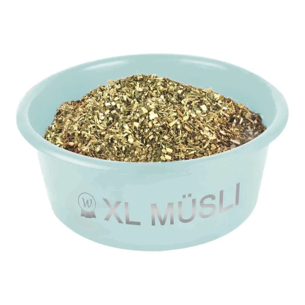 Waldhausen XL Müsli-Schale mit Deckel - Türkis -  Inhalt: 8L, Farbe: Türkis