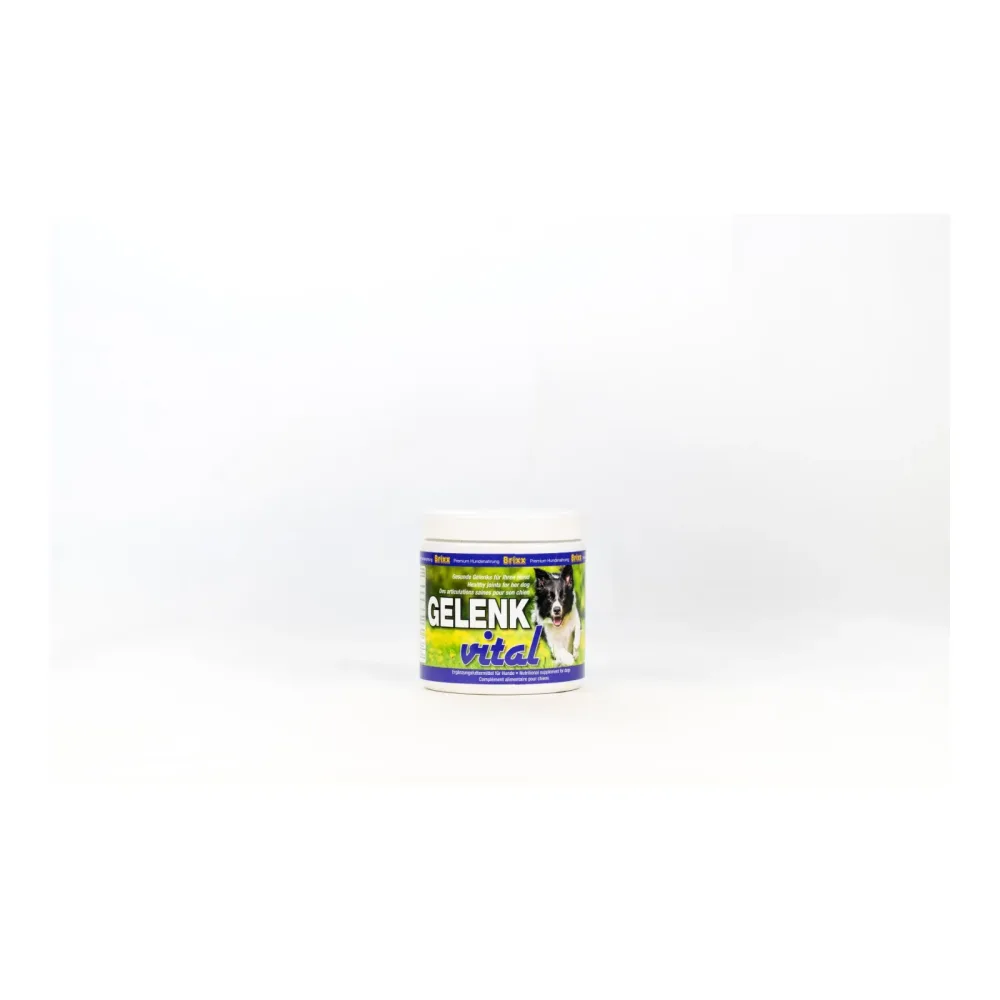 Starhorse Brixx Gelenk Vital für Hunde