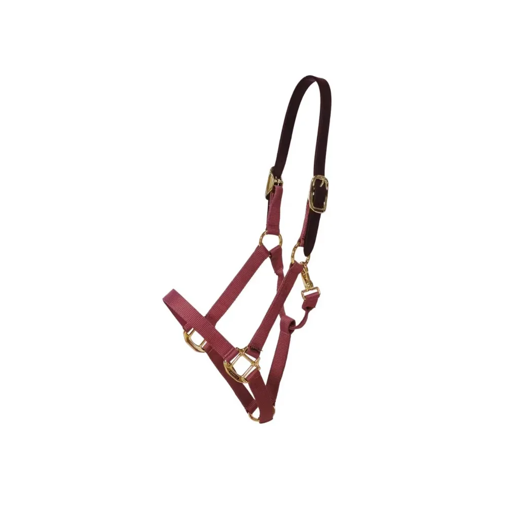 Kentucky Nylon Halfter Breakaway - Bordeaux -  Grösse Pferd: Cob, Farbe: Bordeaux