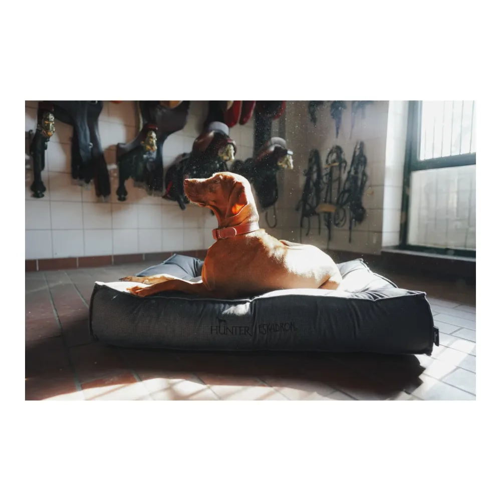 Eskadron Hundebett CHESTER Anthra Checked