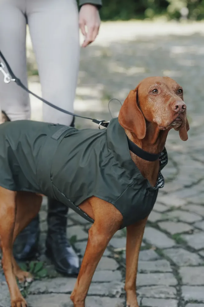 Eskadron Hunde Regenmantel Rainshield HUNTER Olive