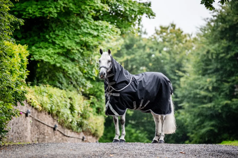 Horseware Weidedecke mit Halsteil Amigo 12 Plus 250g - Black/Titanium Grey & Silver -  Grösse Pferdedecke: 140 cm