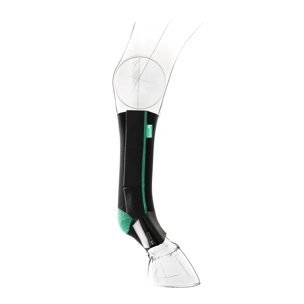 EquiCrown Kompressionsbandage active - vorne, Reissverschluss - grün - Schwarz/Grün -  Equicrown Kompressionsbandagen: rechts, kurz, 2