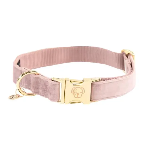 Kentucky Dogwear Hundehalsband velvet - Zartes Rosa -  Farbe: Zartes Rosa, Grösse Hundehalsband: XS