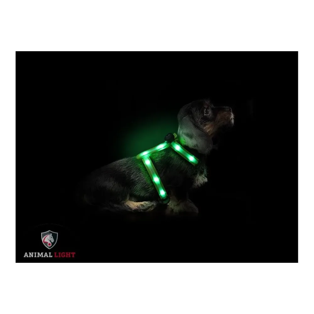 Animal Light Leucht - Hundegeschirr 